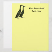 Black Runner Ducks (Front/Back)