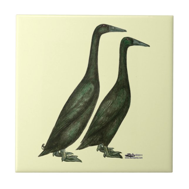 Black Runner Ducks Ceramic Tile (Front)