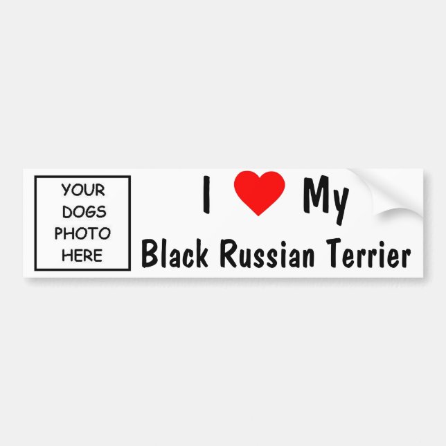 Black Russian Terrier Bumper Sticker (Front)