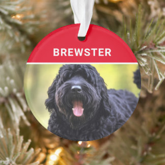Black Russian Terrier Dog's Name Photo Christmas Ornament