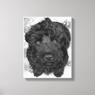 Black Russian Terrier Puppy Canvas Print