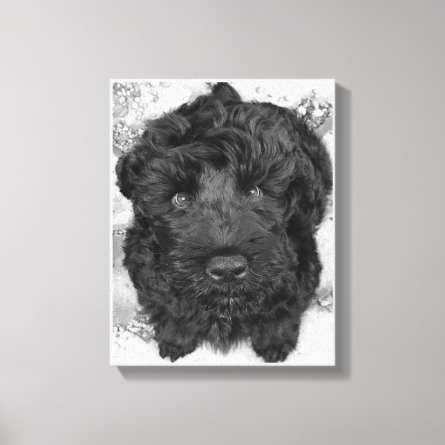 Black Russian Terrier Puppy Canvas Print (Front)