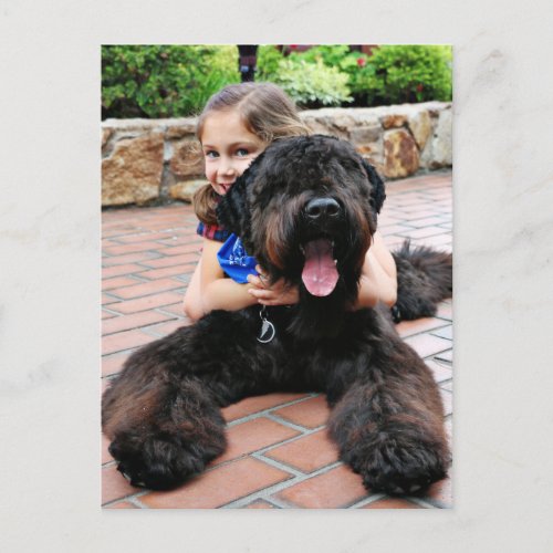 Black Russian Terrier _ Vader Postcard