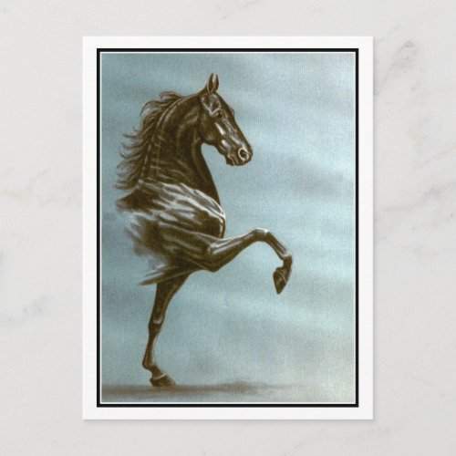 Black Saddlebred Horse Postcard