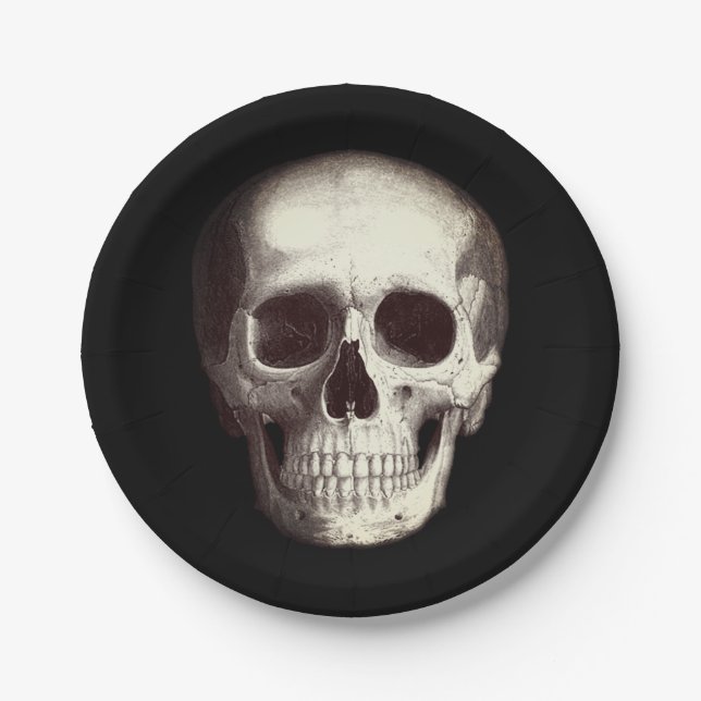 Black Scary Skull Adult Halloween Paper Plates (Front)