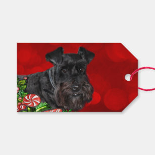 schnauzer gift ideas
