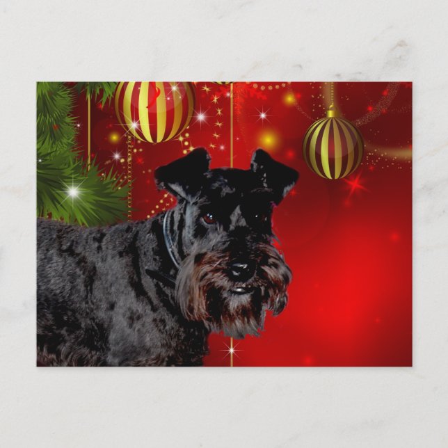 Black Schnauzer Christmas Holiday Postcard (Front)