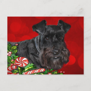 Black Schnauzer Christmas Holiday Postcard