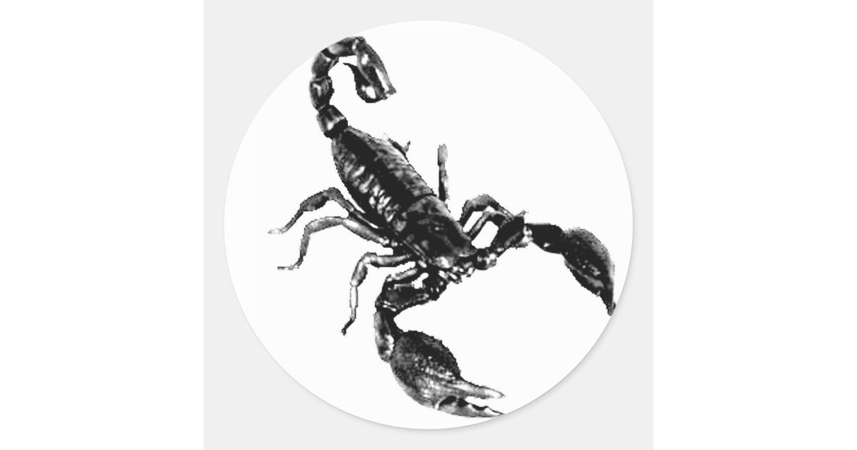 Black Scorpion on white sticker | Zazzle Black Scorpion on white sticker | Zazzle