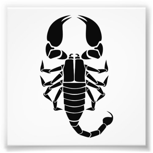 black scorpion photo print