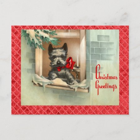 Black Scottie Dog In Window Red Holiday Postcard