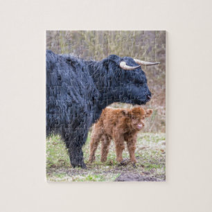Black Scottish highlander mother cow with newborn Jigsaw Puzzle