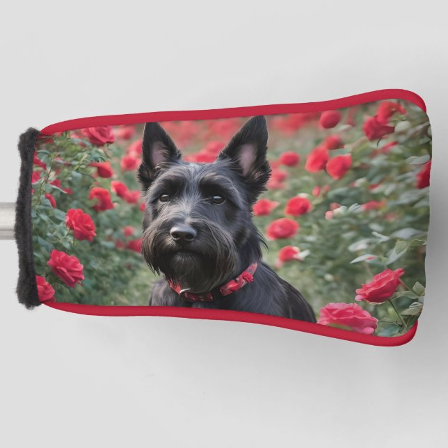 Black Scottish Terrier In Red Roses, Putter Cover (Front)