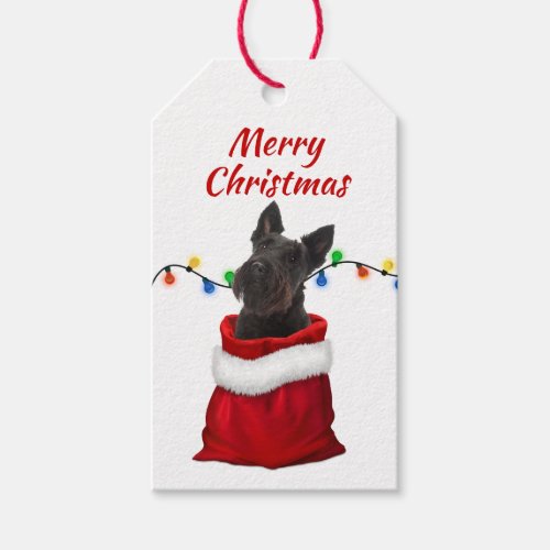 Black Scottish Terrier in Santa Bag Gift Tags