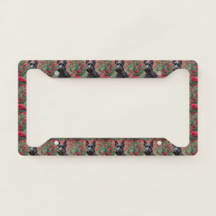 Black Scottish Terrier In The Red Roses, License Plate Frame