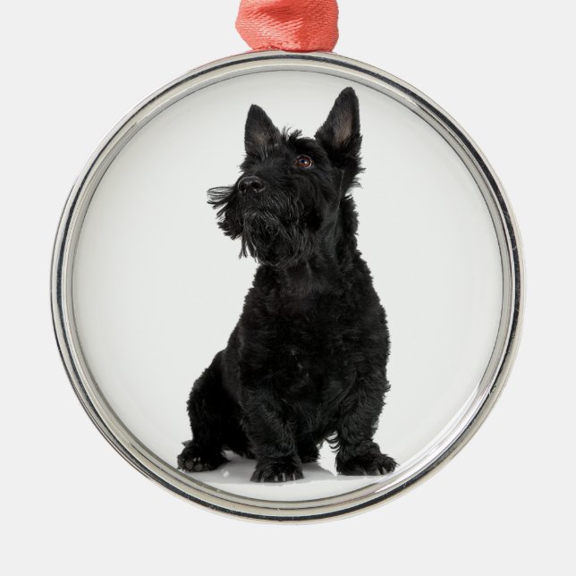 Black Scottish Terrier Metal Ornament (Front)
