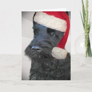 Black Scottish Terrier Santa Card