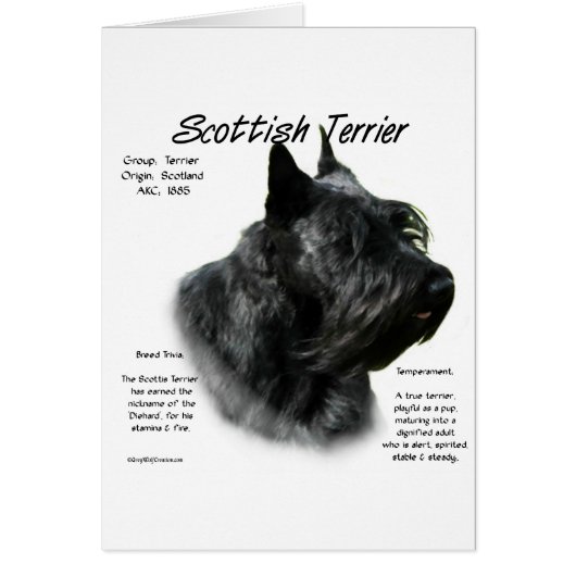 Black Scotty History  (Front)