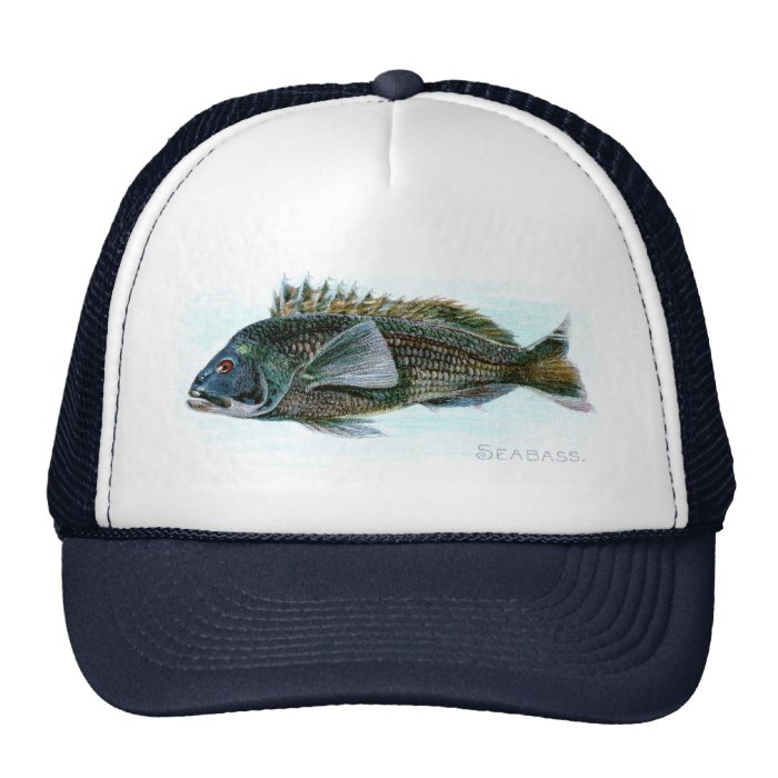 Black Sea Bass Hats