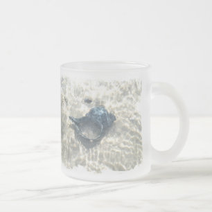 Black Seashell Frosted Glass Coffee Mug