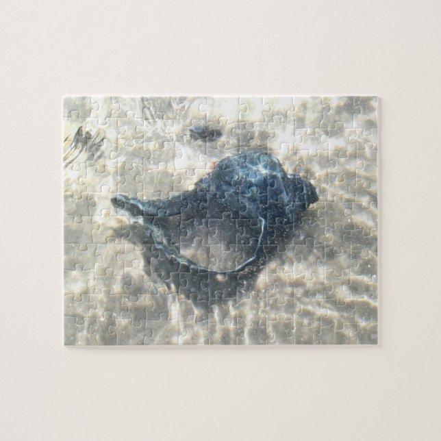 Black Seashell Jigsaw Puzzle (Horizontal)