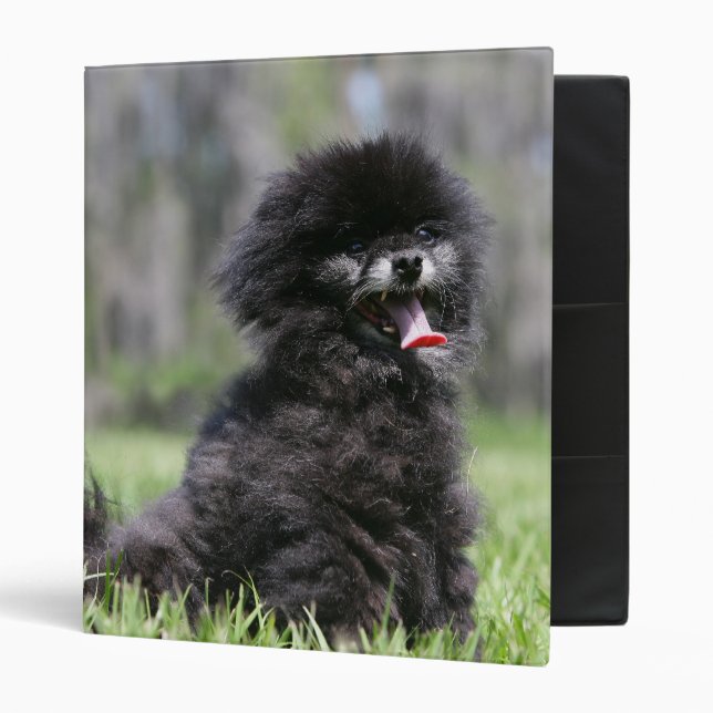 Black Senior Pomeranian Binder (Front/Inside)