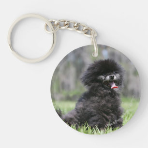 Black Senior Pomeranian Keychain