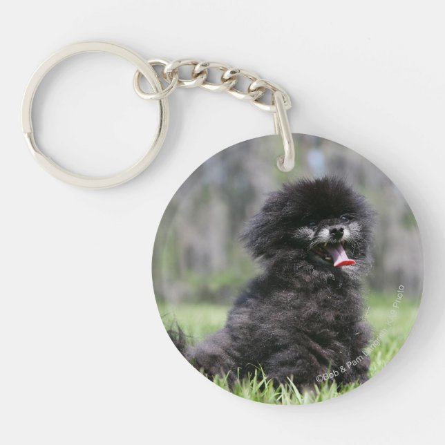 Black Senior Pomeranian Keychain (Front)