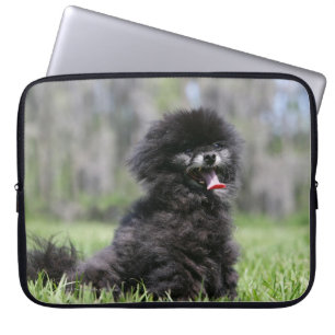 Black Senior Pomeranian Laptop Sleeve