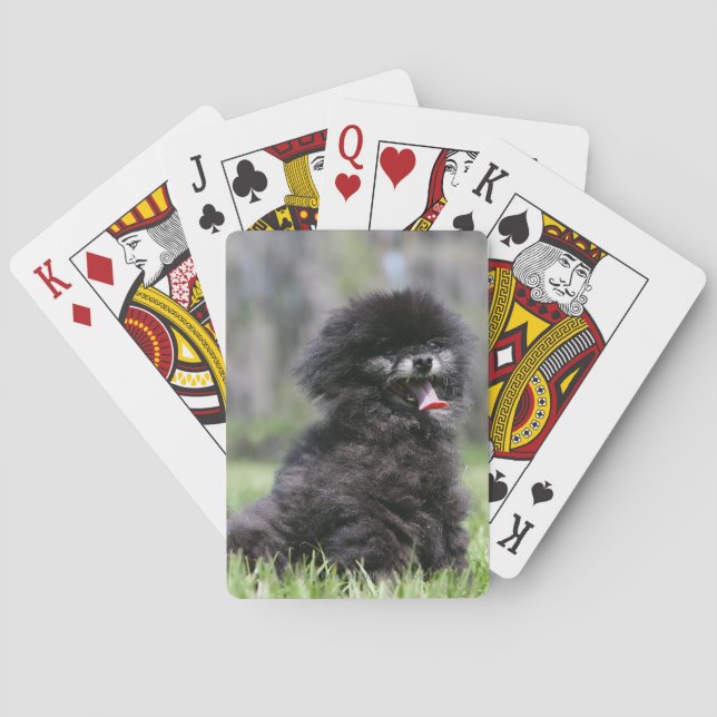 Black Senior Pomeranian Poker Cards (Back)