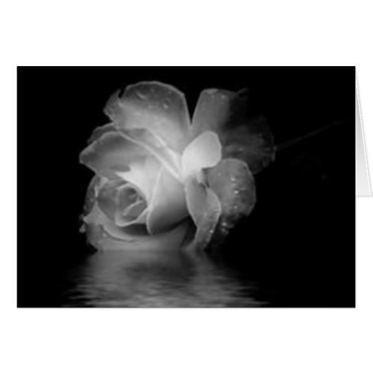 Black Shadow Rose Cards (Front Horizontal)