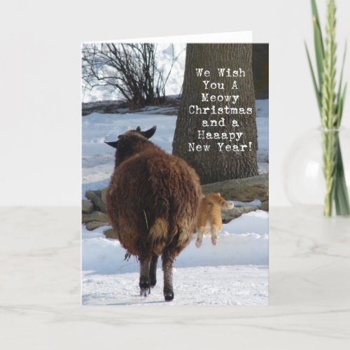 Black Sheep and Cat Christmas Fun Holiday Card