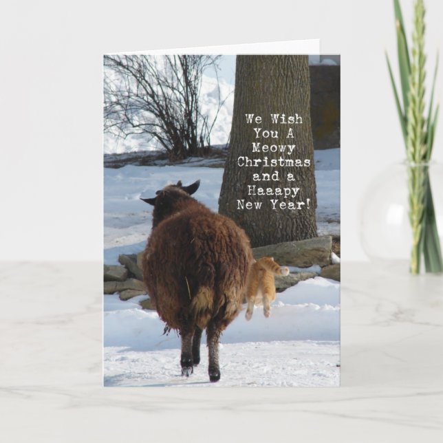 Black Sheep and Cat, Christmas Holiday Card (Front)