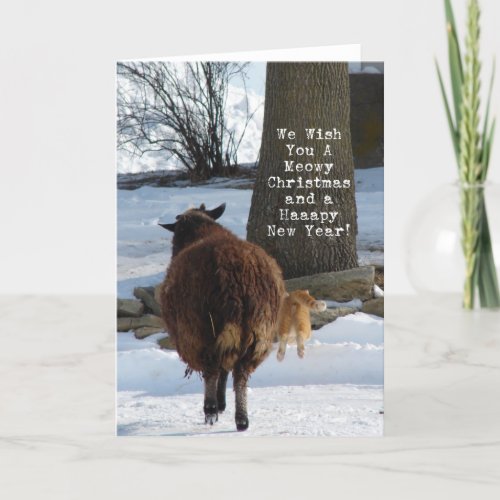 Black Sheep and Cat Christmas Holiday Card