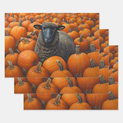 Black Sheep Autumn Pumpkin Patch Decoupage Wrapping Paper Sheets