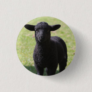 Black Sheep - Button