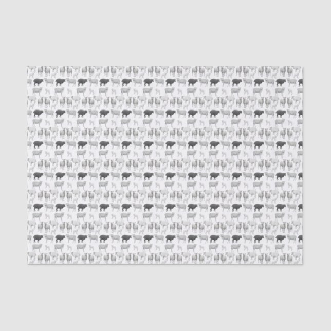 Black Sheep Dare to be Different Tissue Paper (Front)