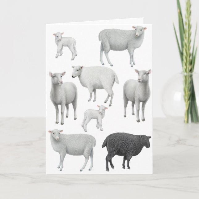 Black Sheep Greeting Card (Front)