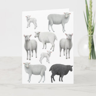 Black Sheep Greeting Card