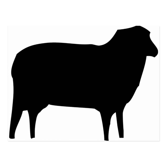 black sheep icon postcard