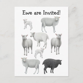 Black Sheep Invitation