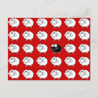 Black Sheep Postcard