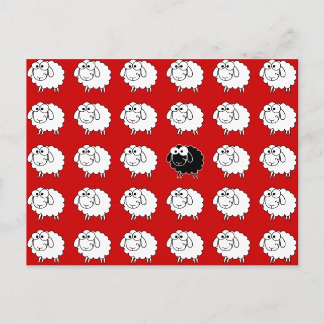 Black Sheep Postcard (Front)