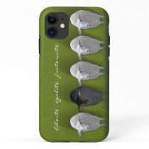 Black Sheep White Sheep Five iPhone 11 Case