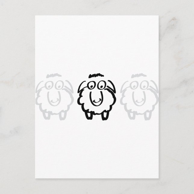 black sheep white sheeps postcard (Front)