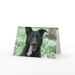 Black Shepherd Greeting Card
