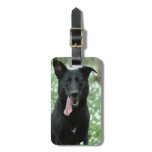 Black Shepherd Luggage Tag