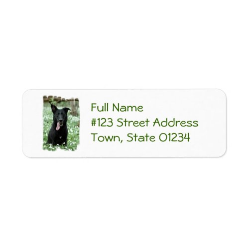 Black Shepherd Mailing Labels