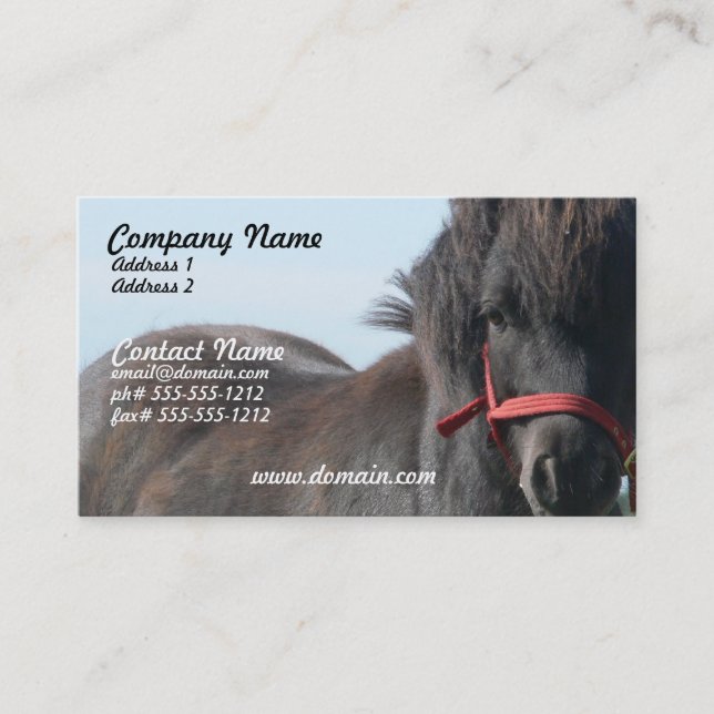 Black Shetland Pony Business Card (Front)