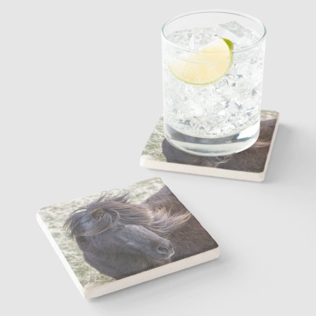 Black Shetland Pony Coaster (Side)